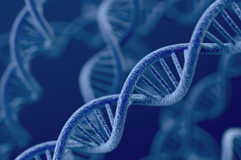 Sequenziamento: decifrare il genoma “oscuro” del gene SMN
