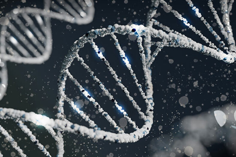 ADA-SCID: positivi i risultati a lungo termine della terapia genica