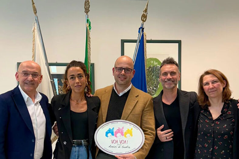 Verso l’introduzione dello screening neonatale per la leucodistrofia metacromatica in Emilia-Romagna