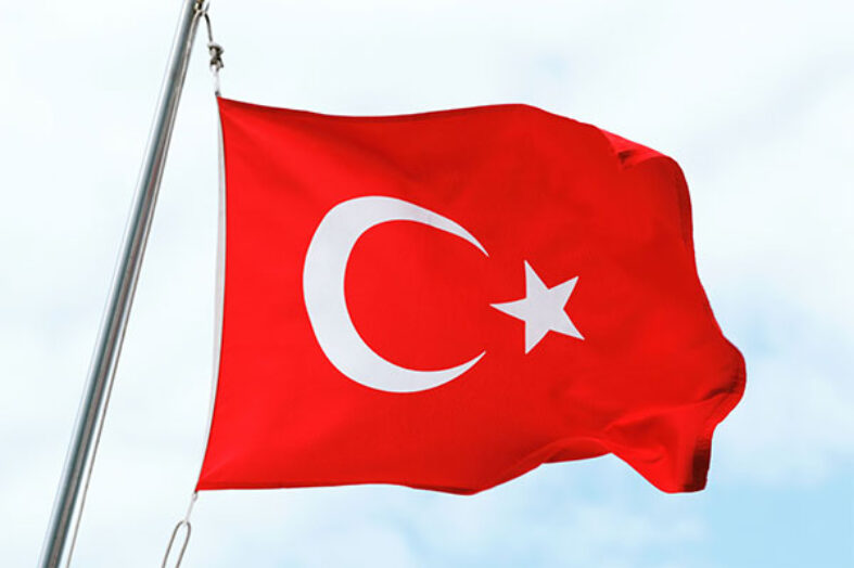 Screening neonatale per la SCID: il primo studio prospettico in Turchia